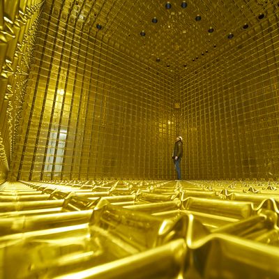a person standing inside the protodune cryostat