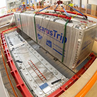 installation of Icarus detector