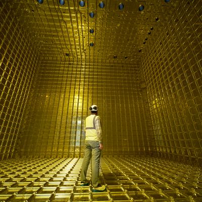 a person standing inside the protodune detector